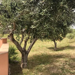  Appartement Domo Baronia Italie